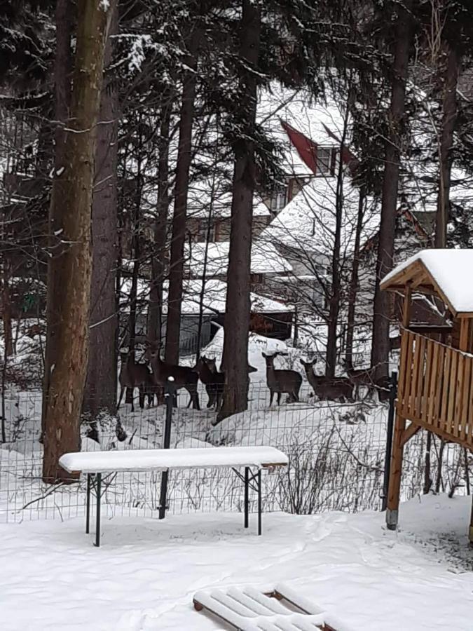 Apartamenty Przy Swierku Szklarska Poręba Exterior foto
